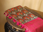 Stunning Green Handloom Ikat Pure Silk Saree with Kanjeevaram Border - Pochampally - Luxurion World