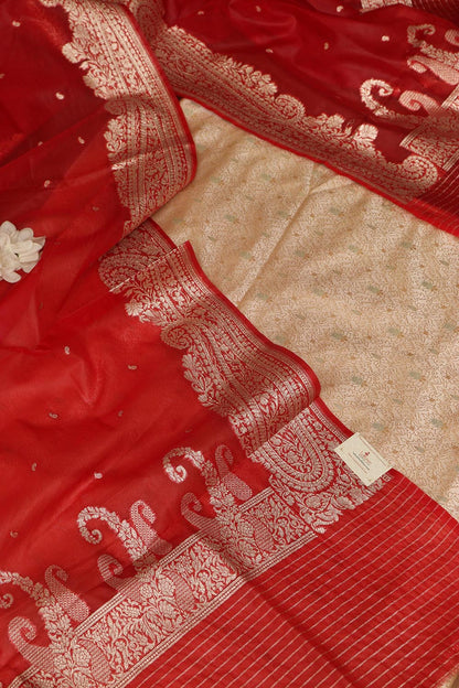 Elegant Pastel Banarasi Tanchui Silk Suit With Red Banarasi Organza Silk Dupatta - Luxurion World