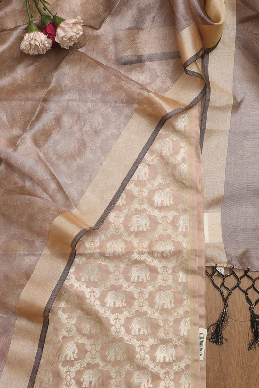 Elegant Pastel Banarasi Silk Suit With Banarasi Tissue Dupatta - Luxurion World