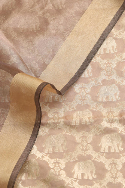 Elegant Pastel Banarasi Silk Suit With Banarasi Tissue Dupatta - Luxurion World