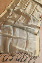 Pastel Kalamkari Digital Printed Tussar Silk Suit With Pastel Banarasi Tissue Dupatta - Luxurion World