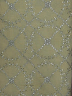 Chic Pastel Georgette Suit with Maroon Embroidered Dupatta - Perfect for Any Occasion! - Luxurion World