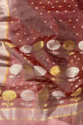 Brown Handloom Chanderi Katan Organza Silk Saree