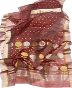 Brown Handloom Chanderi Katan Organza Silk Saree