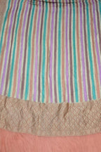 Multicolor Pure Georgette Banarasi Brush Dye Dupatta PD1B1AL426090404