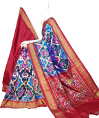 Multicolor Pure Silk Pochampalli Ikat Handloom Saree