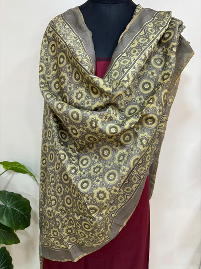 Yellow Ajrakh Block Printed Chanderi Silk Tissue Border Dupatta - Luxurion World