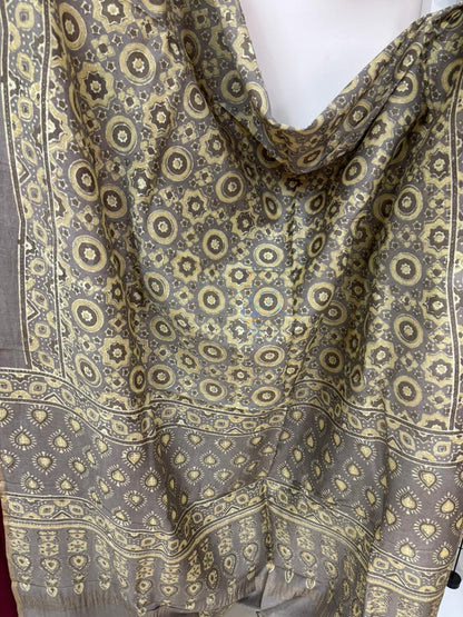 Yellow Ajrakh Block Printed Chanderi Silk Tissue Border Dupatta - Luxurion World