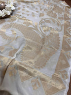 Colorful Banarasi Chiffon Dupatta - Dyeable Handloom Design - Luxurion World
