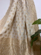 Vibrant Dyeable Banarasi Handloom Moonga Georgette Dupatta - Luxurion World