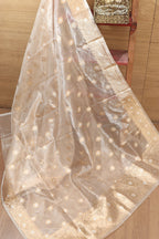 Vibrant Dyeable Banarasi Tissue Silk Dupatta - Luxurion World