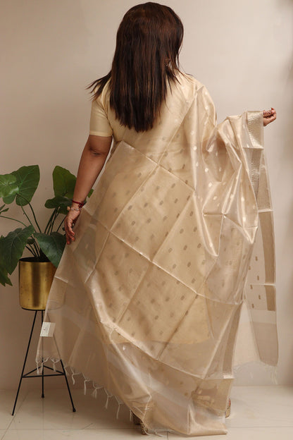Dyeable Banarasi Tissue Silk Dupatta - Luxurion World