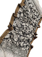 Hand Painted Kalamkari Silk Dupatta in Black & White - Luxurion World