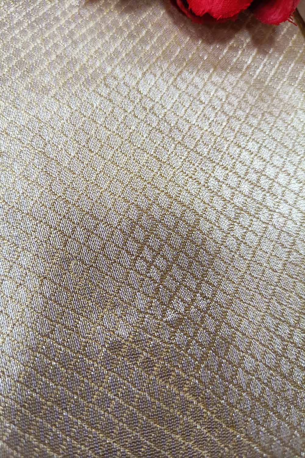 Dyeable Handloom Banarasi Pure Moonga Tissue Silk Fabric ( 2.5 Mtr ) - Luxurion World