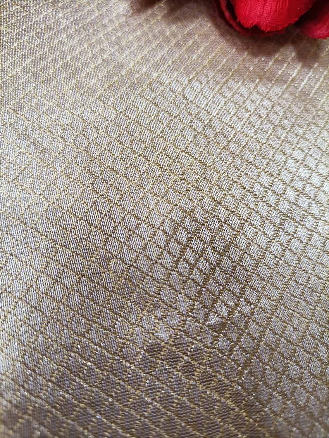 Dyeable Handloom Banarasi Pure Moonga Tissue Silk Fabric ( 2.5 Mtr ) - Luxurion World