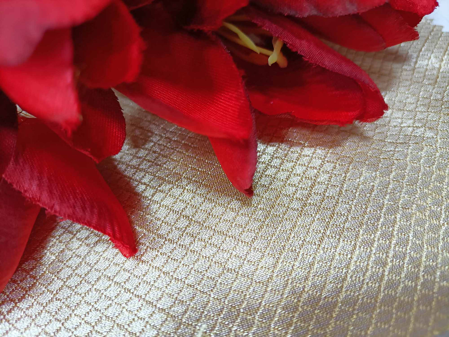 Dyeable Handloom Banarasi Pure Moonga Tissue Silk Fabric ( 2.5 Mtr ) - Luxurion World