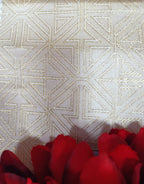 Dyeable Handloom Banarasi Silk Fabric ( 2.5 Mtr ) - Luxurion World