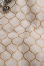 Dyeable Banarasi Silk Fabric ( 1 Mtr ) - Luxurion World