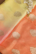 Stunning Multicolor Banarasi Dola Silk Shaded Fabric ( 2.5 Mtr ) - Luxurion World