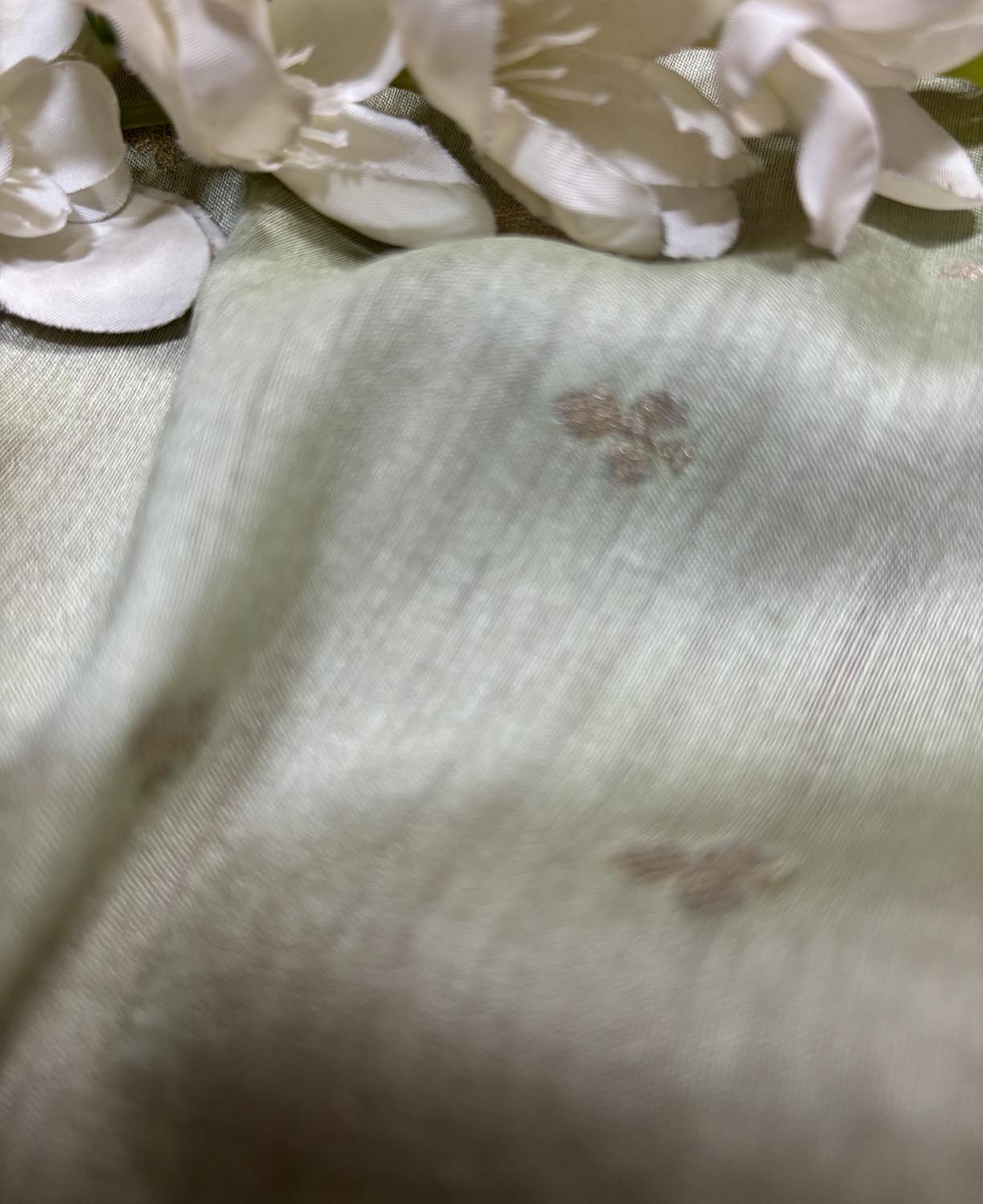 Elegant Pastel Banarasi Handloom Moonga Silk Fabric ( 2.5 Mtr ) - Luxurion World