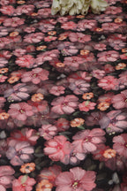 Multicolor Digital Printed Lycra Fabric ( 1 Mtr ) - Luxurion World