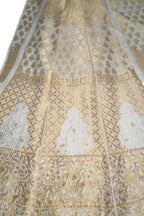 Dyeable Banarasi Handloom Pure Georgette Unstitched Lehenga Set - Luxurion World