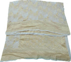 Vibrant Dyeable Handloom Banarasi Georgette Saree - Luxurion World