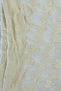 Vibrant Dyeable Handloom Banarasi Georgette Saree - Luxurion World