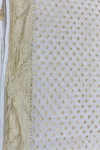 Vibrant Dyeable Handloom Banarasi Georgette Saree - Luxurion World