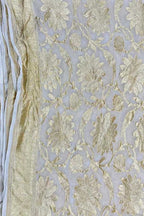 Vibrant Dyeable Handloom Banarasi Georgette Saree - Luxurion World