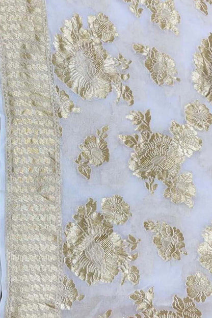 Vibrant Dyeable Handloom Banarasi Georgette Saree - Luxurion World