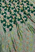 Green Banarasi Georgette Saree: Handloom Brush Dyed - Luxurion World