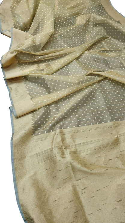 Pastel Banarasi Tissue Silk Saree - Handloom Elegance - Luxurion World