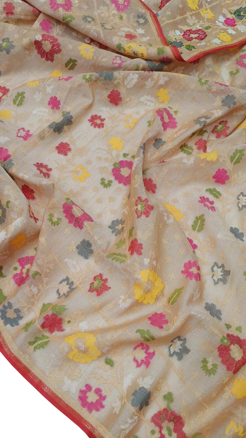 Pastel Banarasi Handloom Cotton Saree - Luxurion World