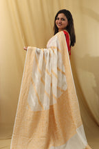 Colorful Banarasi Tussar Georgette Saree - Dyeable and Vibrant - Luxurion World