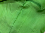 PS1B1MI626061603 Green Banarasi Tissue Silk Stripe Design Saree