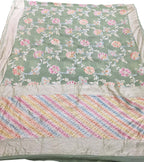 Green Handloom Banarasi Georgette Brush Dye Saree - Luxurion World