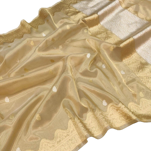 Pastel Pure Kora Tissue Silk Handloom Banarasi Woven Meenakari Skirt Border Saree - Luxurion World