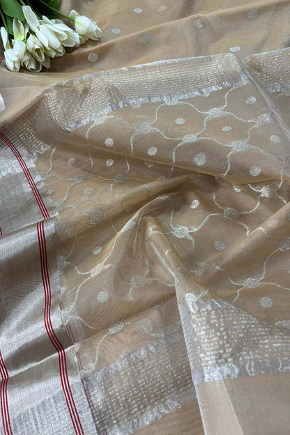 Pastel Chanderi Handloom Pure Katan Silk Booti Design Saree - Luxurion World
