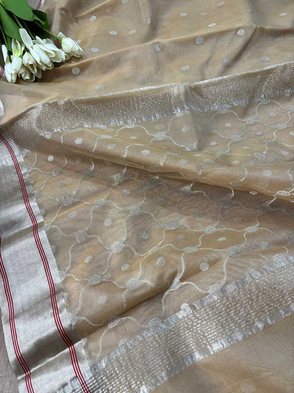 Pastel Chanderi Handloom Pure Katan Silk Booti Design Saree - Luxurion World