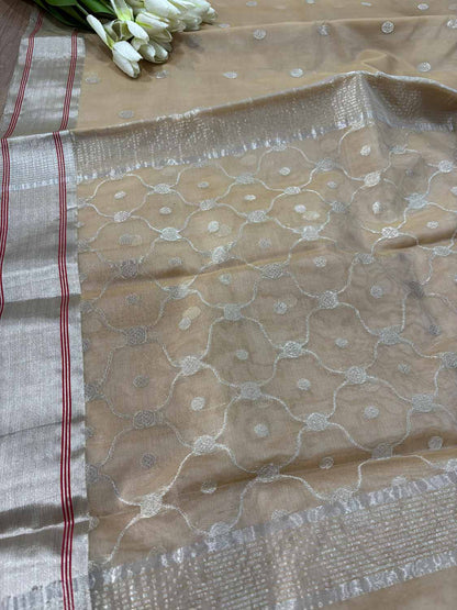 Pastel Chanderi Handloom Pure Katan Silk Booti Design Saree - Luxurion World