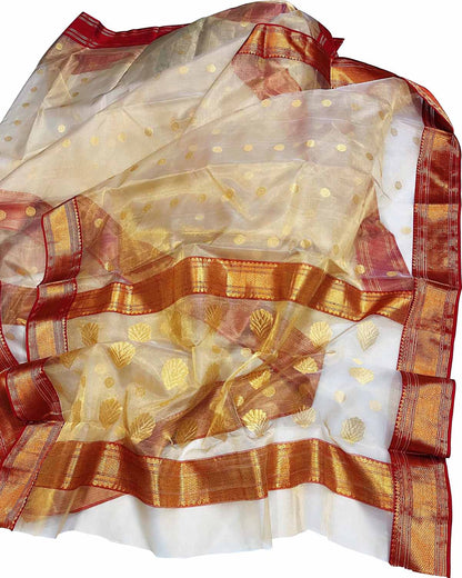 Pastel Chanderi Handloom Tissue Silk Saree - Luxurion World