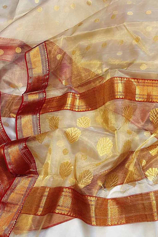 Pastel Chanderi Handloom Tissue Silk Saree - Luxurion World