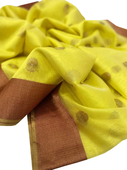 Golden Glow: Chanderi Handloom Silk Saree - Luxurion World