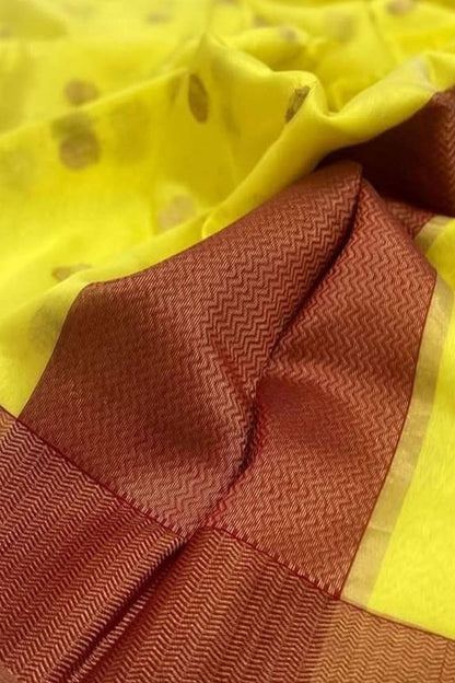 Golden Glow: Chanderi Handloom Silk Saree - Luxurion World