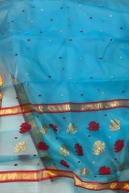 Blue Chanderi Handloom Pure Katan Organza Flower Design Saree - Luxurion World