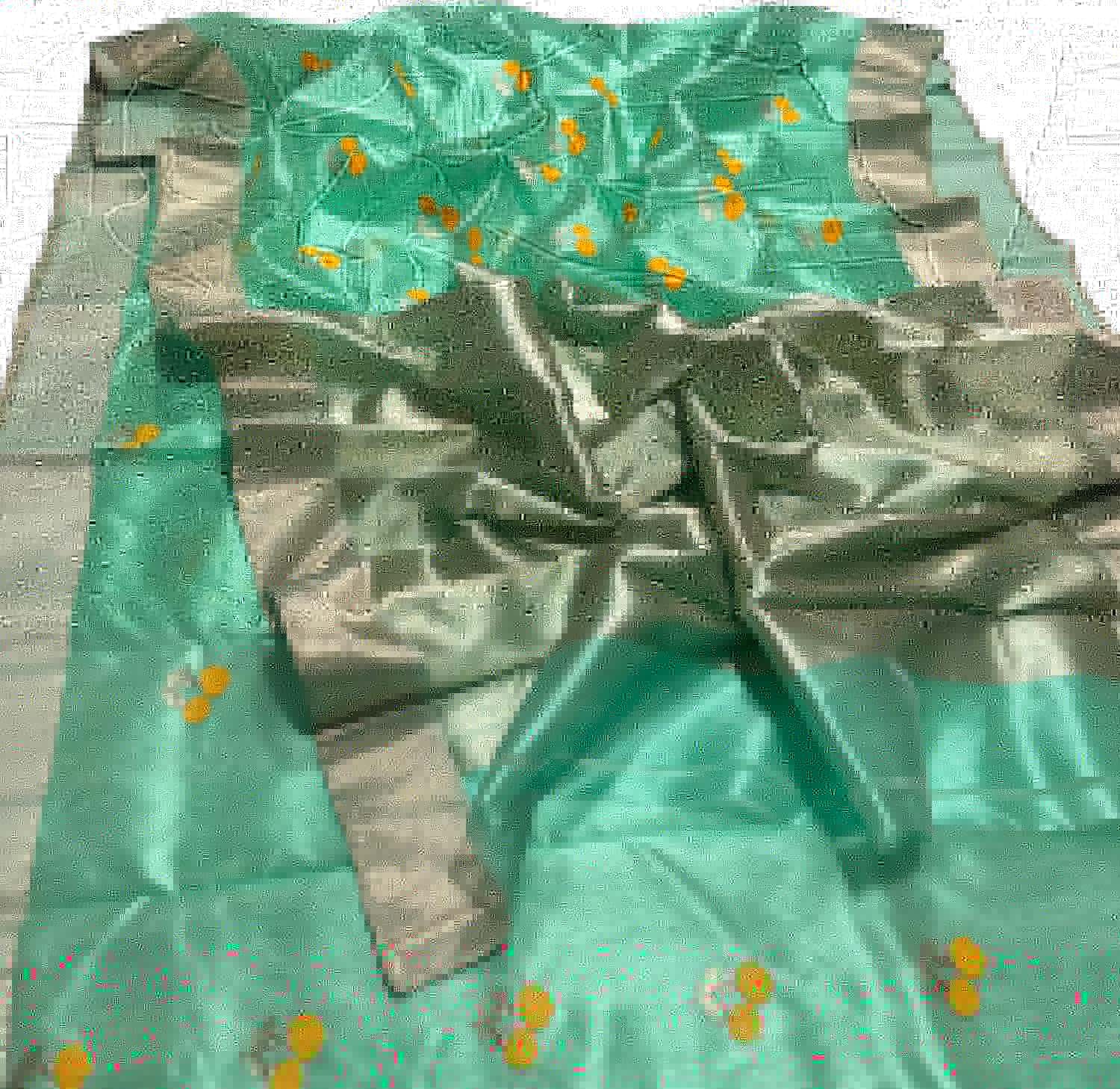 Green Pure Pattu Silk Ek Naliya Handloom Chanderi Flower Design Saree - Luxurion World