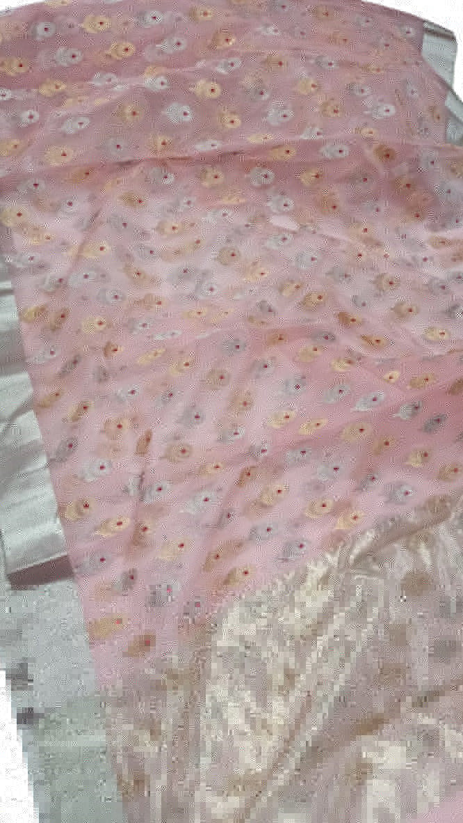 Pink Chanderi Handloom Pure Katan Silk Sona Roopa Saree - Luxurion World