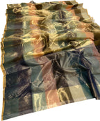 Multicolor Chanderi Handloom Pure Tissue Katan Silk Saree - Luxurion World