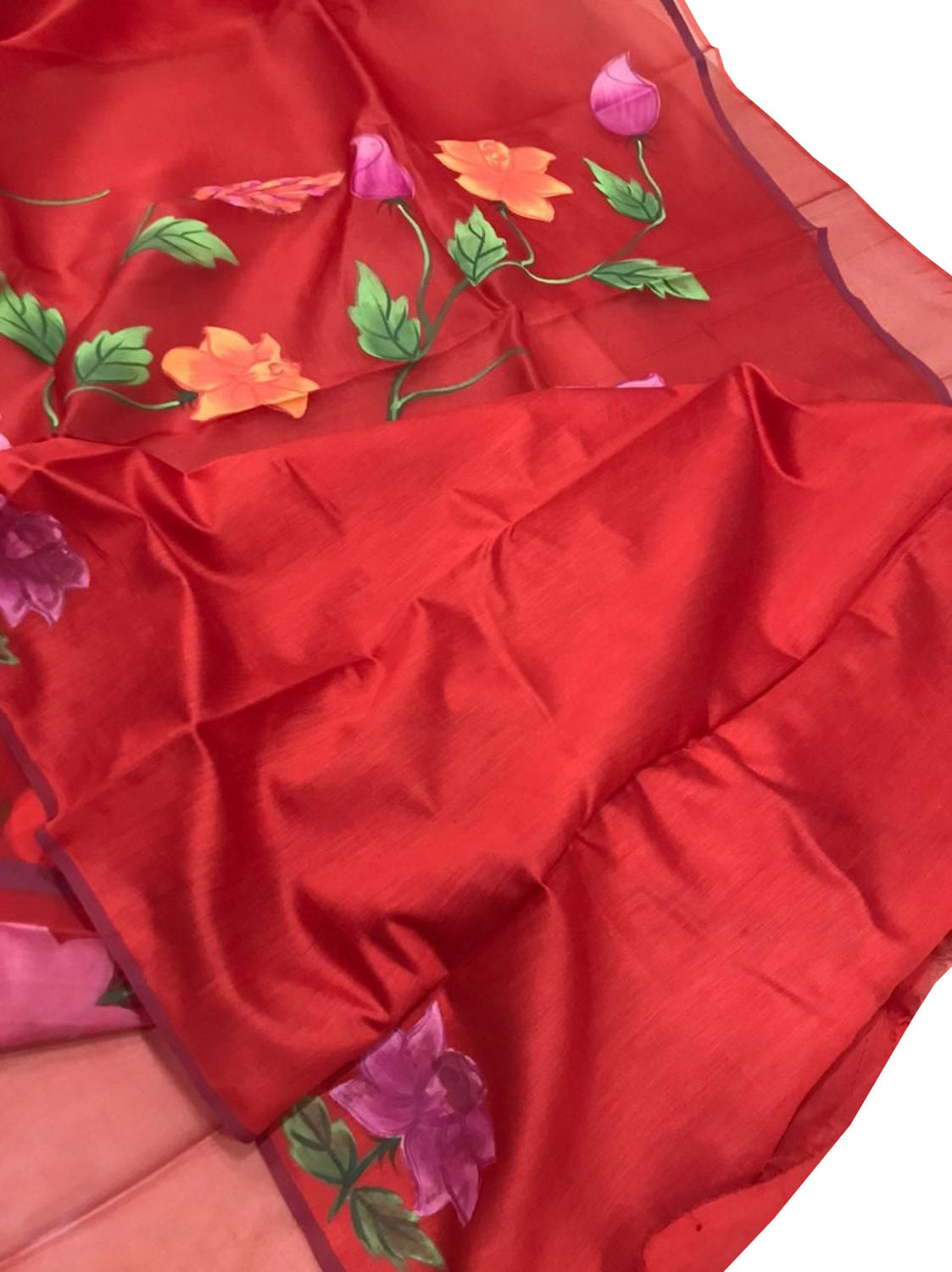 Stunning Red Organza Saree with Hand Painted Design and Zari Border - Luxurion World